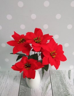 Bukiet 5-kwiatów GWIAZDA BETLEJEMSKA