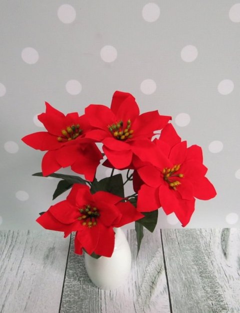 Bukiet 5-kwiatów GWIAZDA BETLEJEMSKA