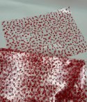 Worek celofan 25x35cm czerwone kwiaty 25szt. | N8