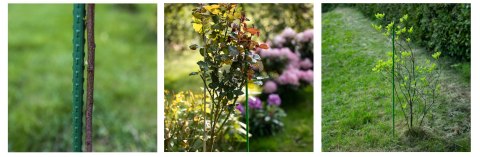 Tyczka 10szt. stalowa powlekana 125cm | 720112