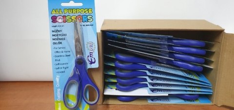 Nożyczki 18cm | B07.184.3092