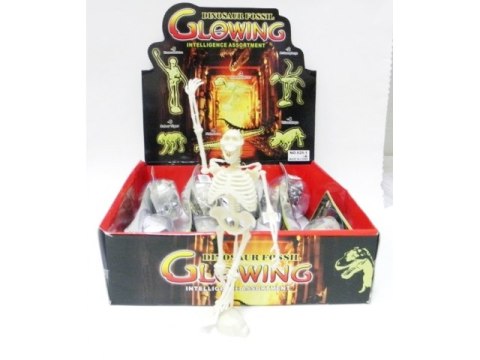 Puzzle fluorescyjne dinozaury