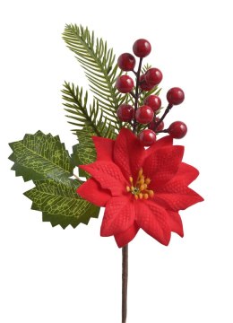 Pik z poinsecją 22CAN18-461