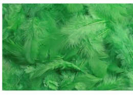 Pierze naturalne barwione zielone 7-12cm 10g | HM0003_GR