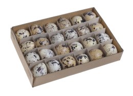 Jajka przepiórki jak naturalne 24szt 22CAN218-100A/24