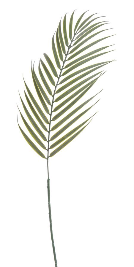 Liść palmy 12szt. 70cm | B-07280