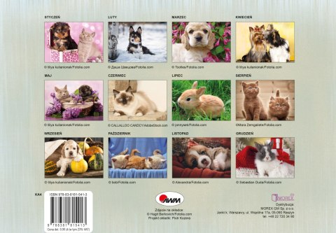 Kalendarz 2026 Ulubieńcy KA4 ścienny