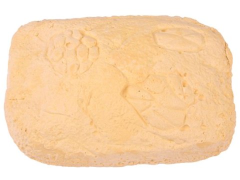 Kopalnia kamieni wykopaliska archeologiczne | ZA4469