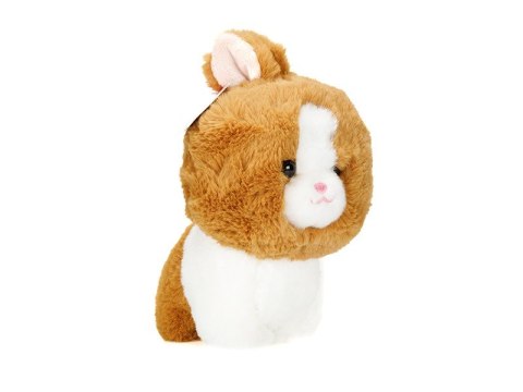 Maskotka TEDDY PETS, KRÓLICZEK, BRĄZOWY 21 x 17cm