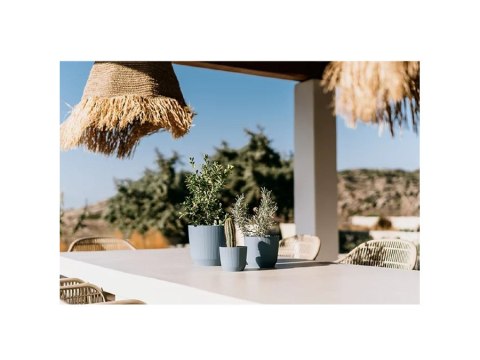 Doniczka 10szt RYFO jasny szary średnica 69mm