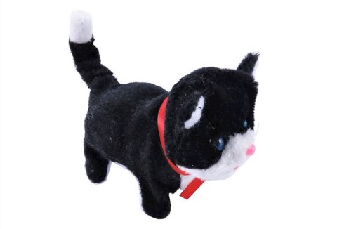 Kot na baterie 16 x 13 x 8cm