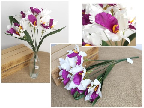 Bukiet 2szt IRYS wys. 50 cm 5 łodyg (kwiat 12 x 6 cm) BIAŁO-FIOLETOWY MD-024B