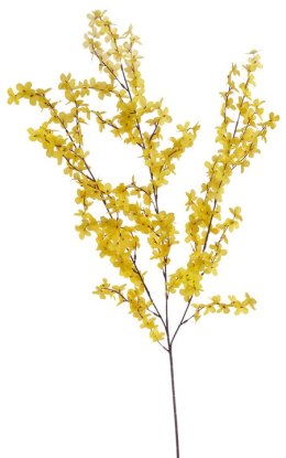 Kwiat sztuczny forsycja x 38 gałązek 98cm. 16CAN15Q005