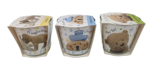 Świeca w szkle ANIMALS