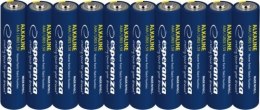 Baterie alkaliczne AAA 10szt. zgrzewka zawieszana EZB113