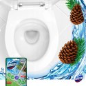 Kostka do wc PINE DOMESTOS 50g