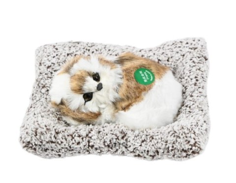 Pies na poduszce 18cm figurka dekoracyjna