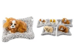 Pies na poduszce 18cm figurka dekoracyjna