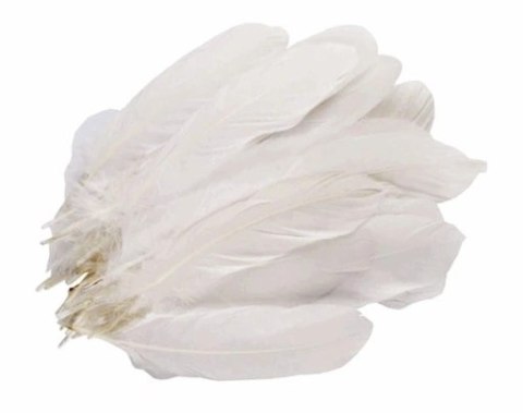 Pióra naturalne gęsi 15 gram