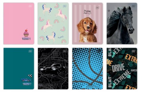 Zeszyt A5 10szt. 32k linia