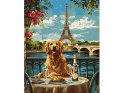 Zestaw do malowania po numerach Retriever w Paryżu KHO6627 40x50 AP0060