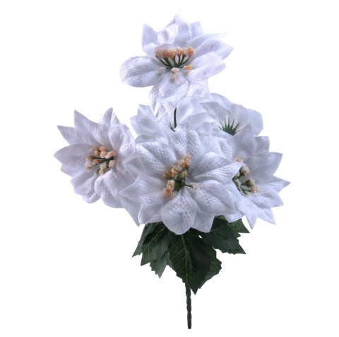 Bukiet gwiazda betlejemska 7 szt dł. 30 cm śr. 11cm