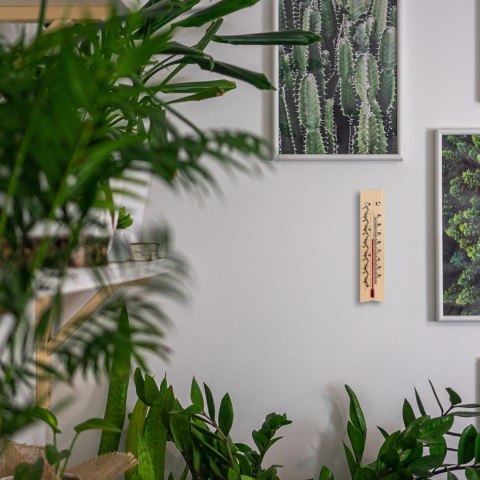 Termometr pokojowy ze wzorkiem (-20°C do +50°C) 18cm mix 011300