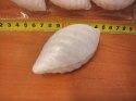 Szyszka długa 8,9cm styropianowa 12szt. | SZ--09