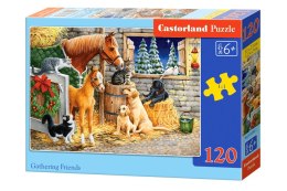 Puzzle 120 el. GATHERING FRIEND Castorland B-13340