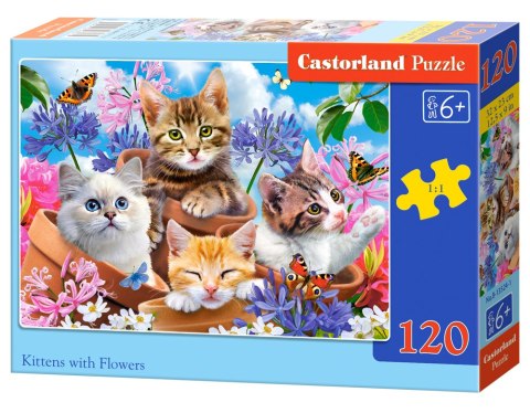 Puzzle 120 el. Kittens with Flowers Castorland B-13524