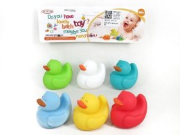 Piszczki kaczki BPI4425