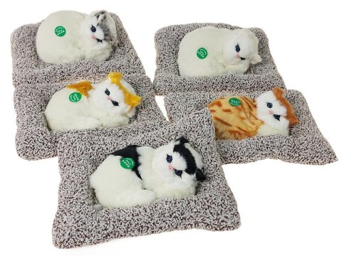 Kotek pluszowy na poduszce z dźwiękiem