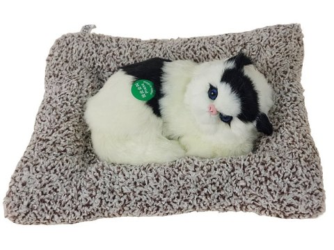 Kotek pluszowy na poduszce z dźwiękiem