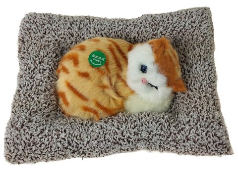 Kotek pluszowy na poduszce z dźwiękiem