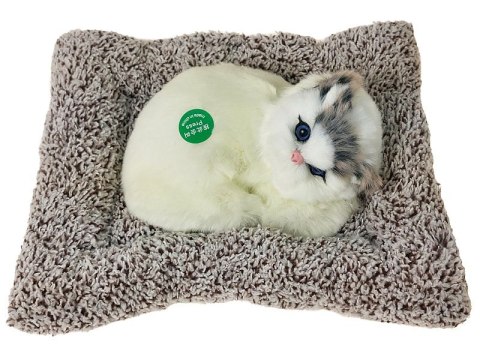 Kotek pluszowy na poduszce z dźwiękiem