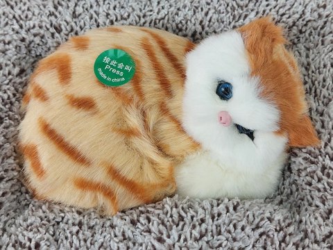 Kotek pluszowy na poduszce z dźwiękiem