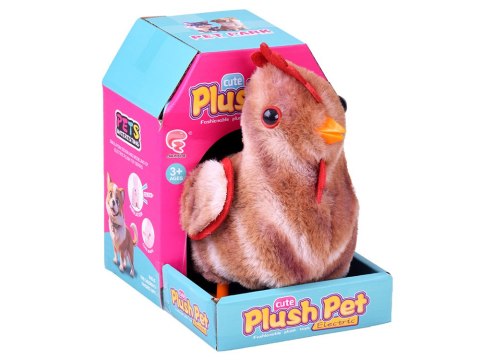 Dreptający KOGUT Bogdan kukuryku! - pieje i macha skrzydłami ZA6018 BR