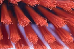 Szczotka ulicówka 40cm UL40