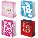 Torebka prezentowa 10szt. 18-nastka 20x24 | T-8L