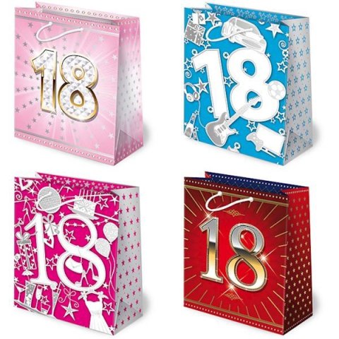 Torebka prezentowa 10szt. 18-nastka 20x24 | T-8L