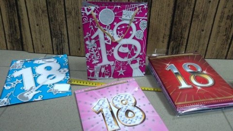 Torebka prezentowa 10szt. 18-nastka 20x24 | T-8L