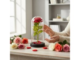 Wieczna róża led w szkle wal812