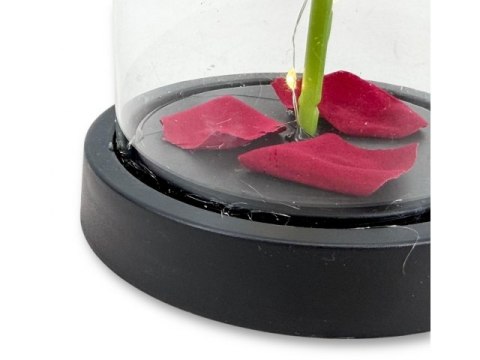 Wieczna róża led w szkle wal812