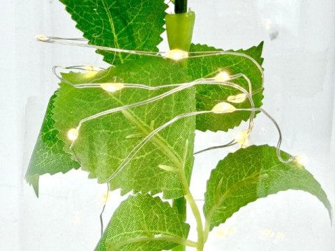 Wieczna róża led w szkle wal812