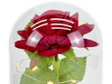 Wieczna róża led w szkle wal812
