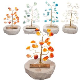 Drzewko szczęścia różne rodzaje 