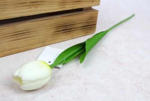 Kwiat TULIPAN gumowy wys. 41 cm (kwiat 4,5 x 3,5 cm) BIAŁY limonkowy dół MH-133A