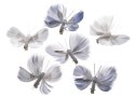 Motyl z piór na klipie 8cm x 6cm 6szt. 173CAN19117_S
