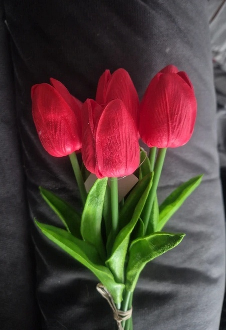Tulipany Bukiet 7szt Czerwone