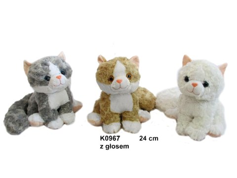Kot z dźwiękiem K0967